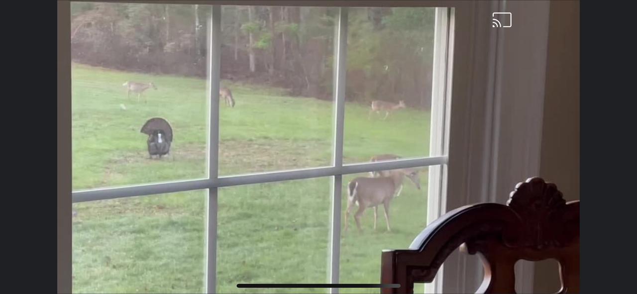 Profile photo 7 of 9