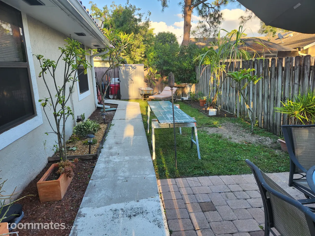 Profile photo 7 of 8