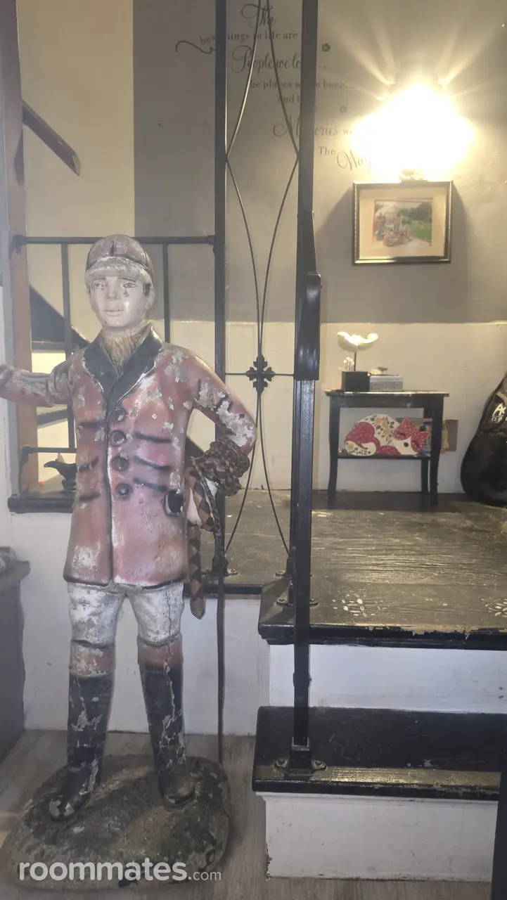 Profile photo 3 of 11