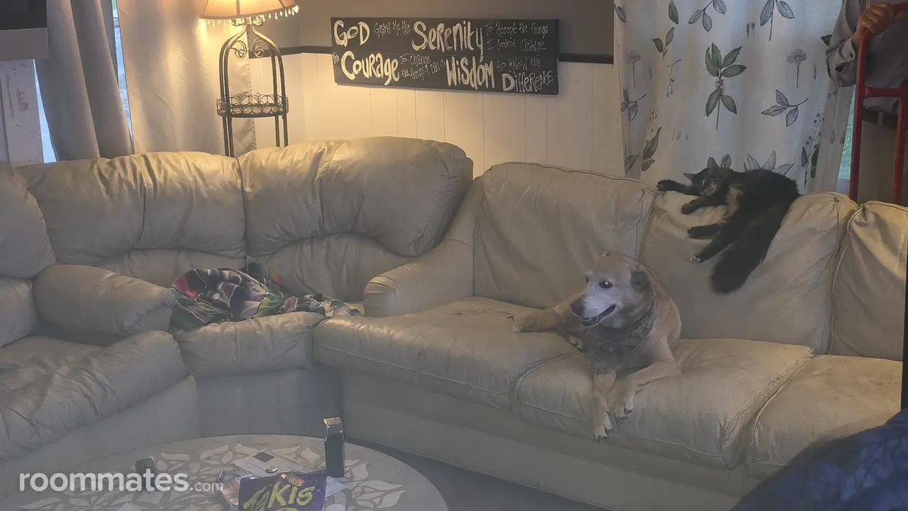 Profile photo 6 of 11