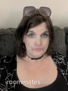 Roommate looking Ferndale, MI, $900