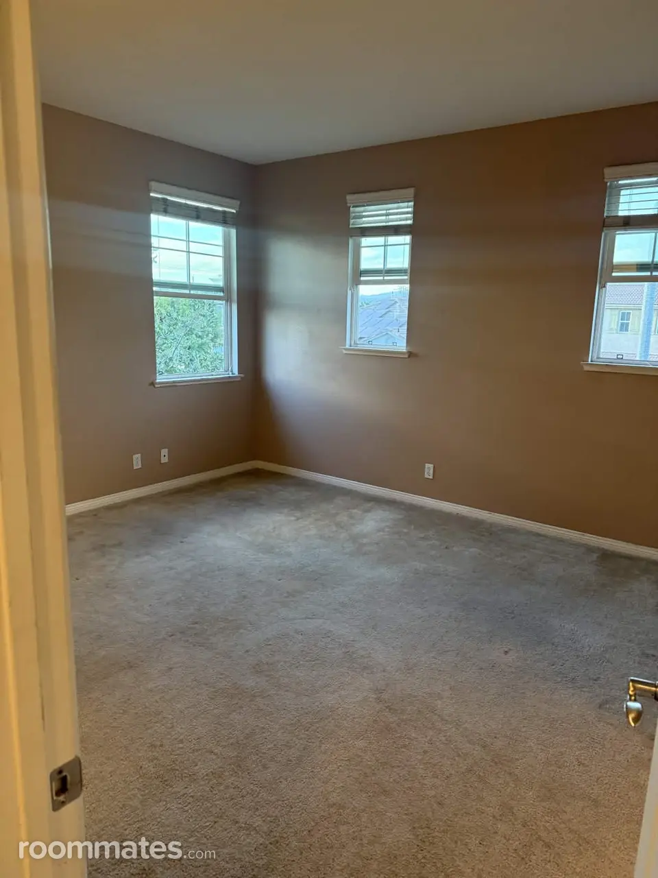 Profile photo 4 of 8