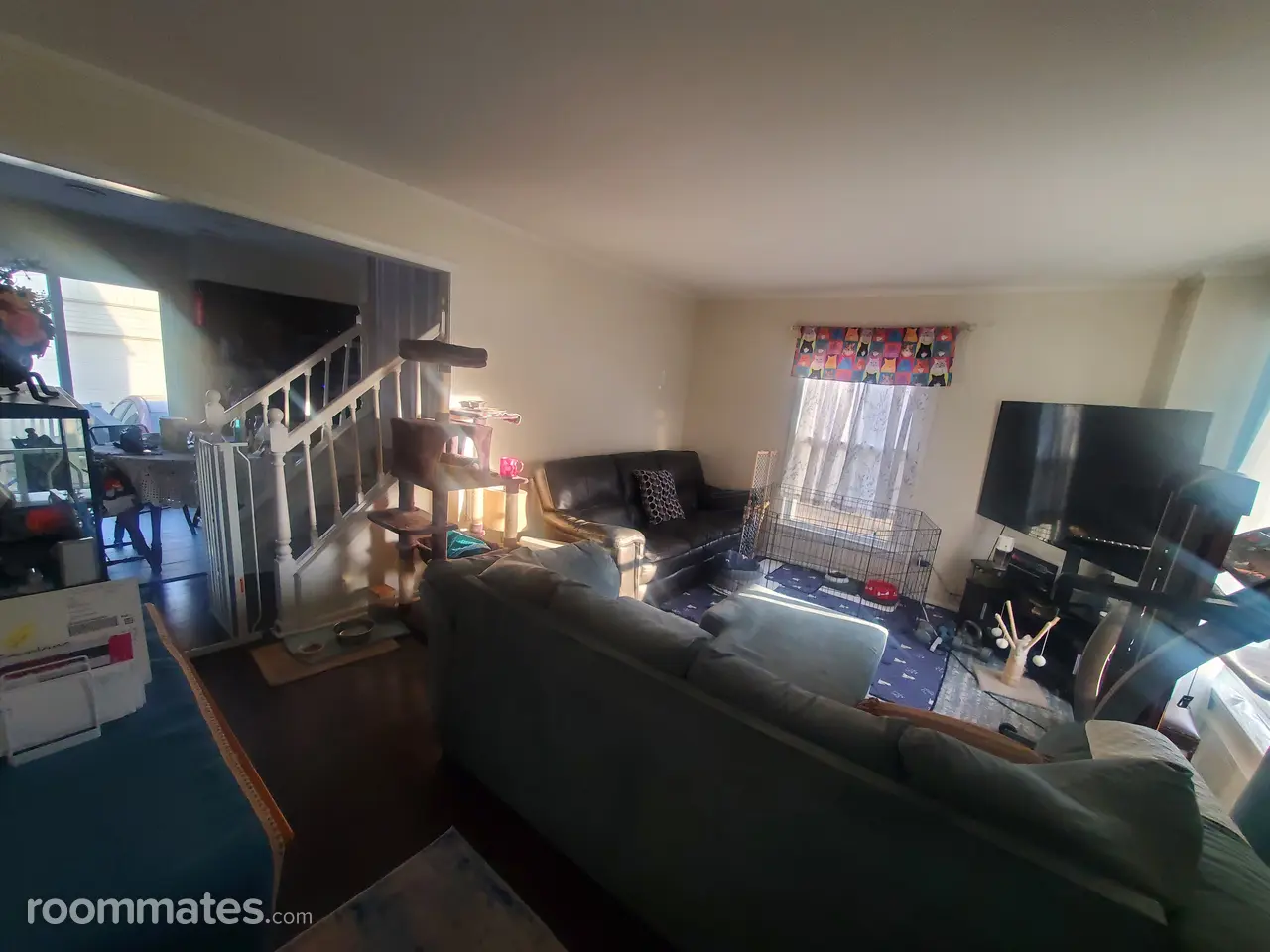 Profile photo 5 of 6