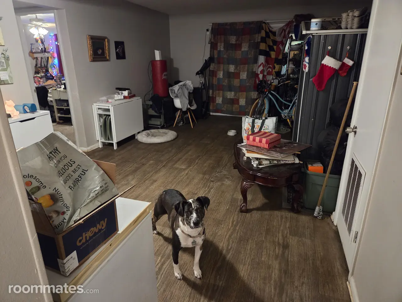 Profile photo 1 of 10