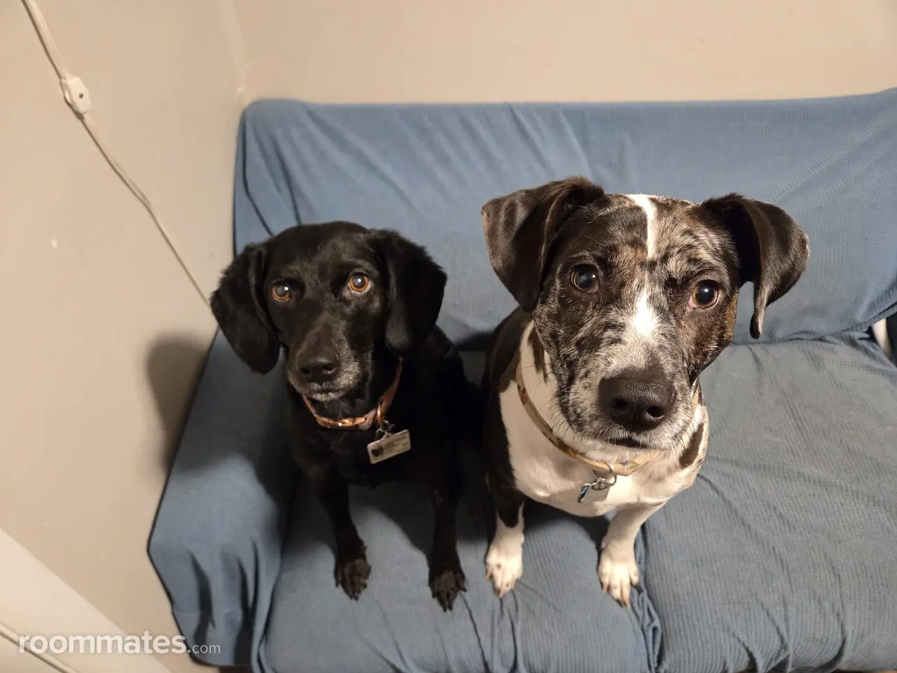 Profile photo 9 of 10