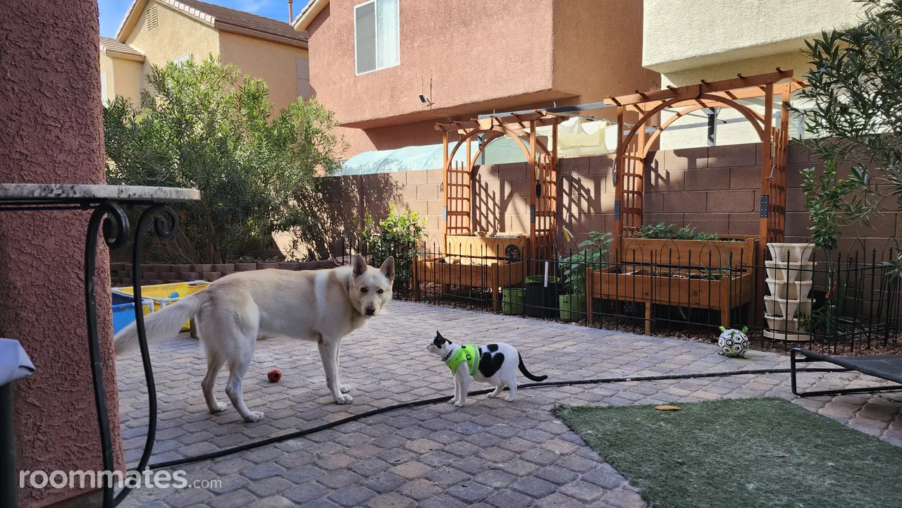 Profile photo 7 of 11