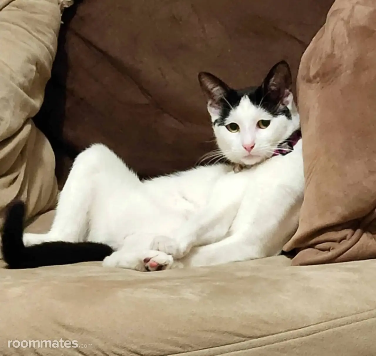 Profile photo 9 of 11