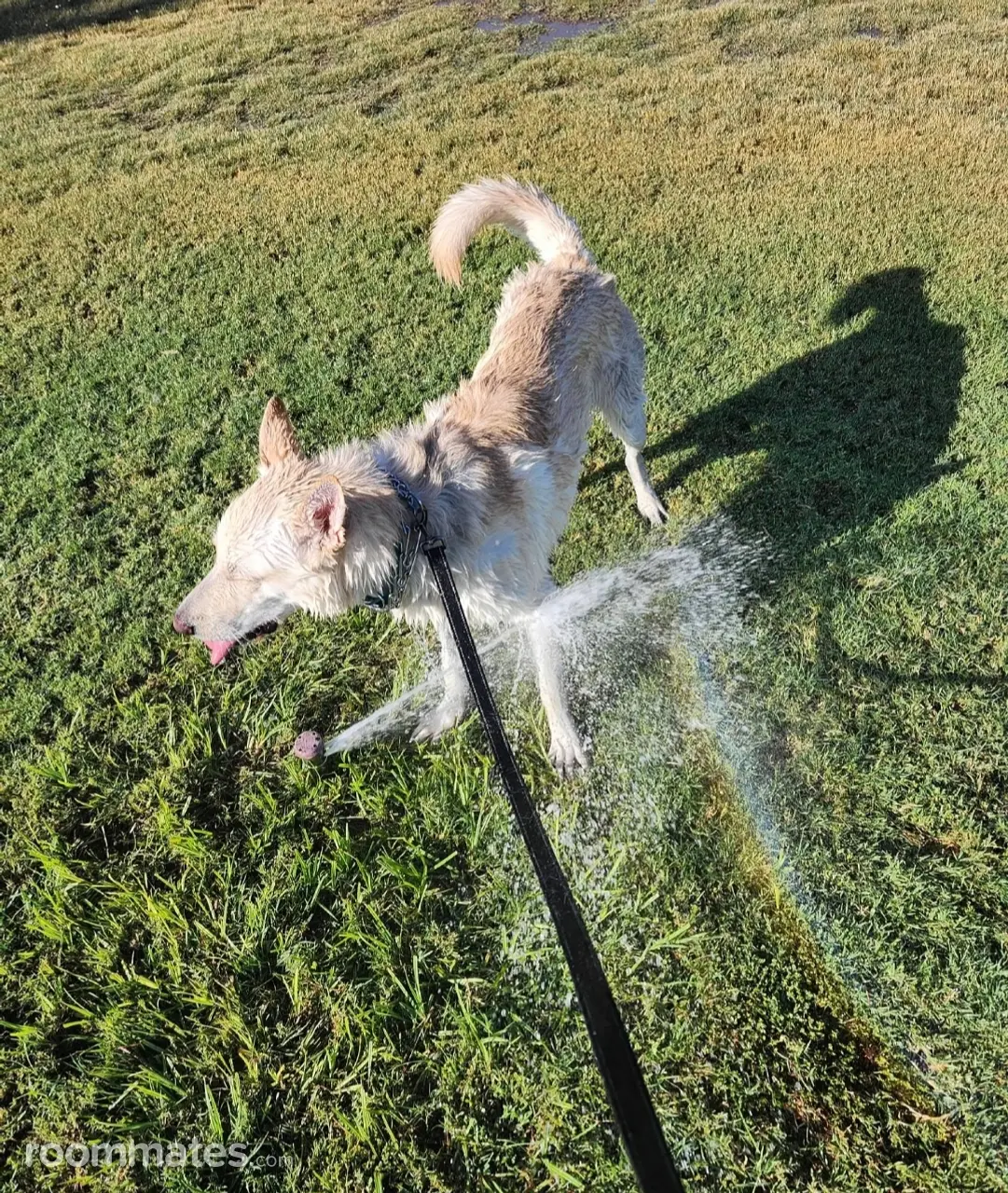 Profile photo 10 of 11