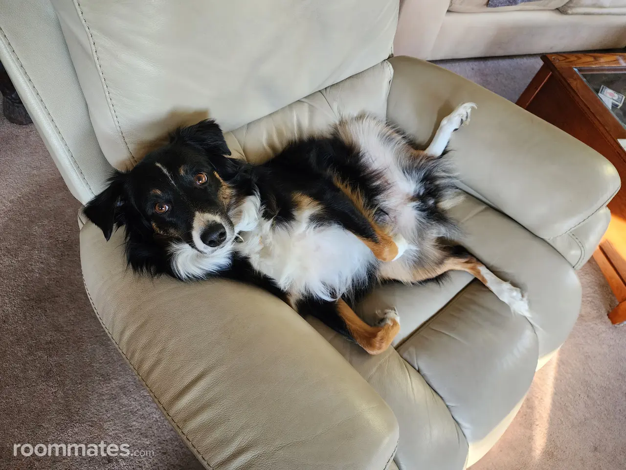 Profile photo 13 of 16