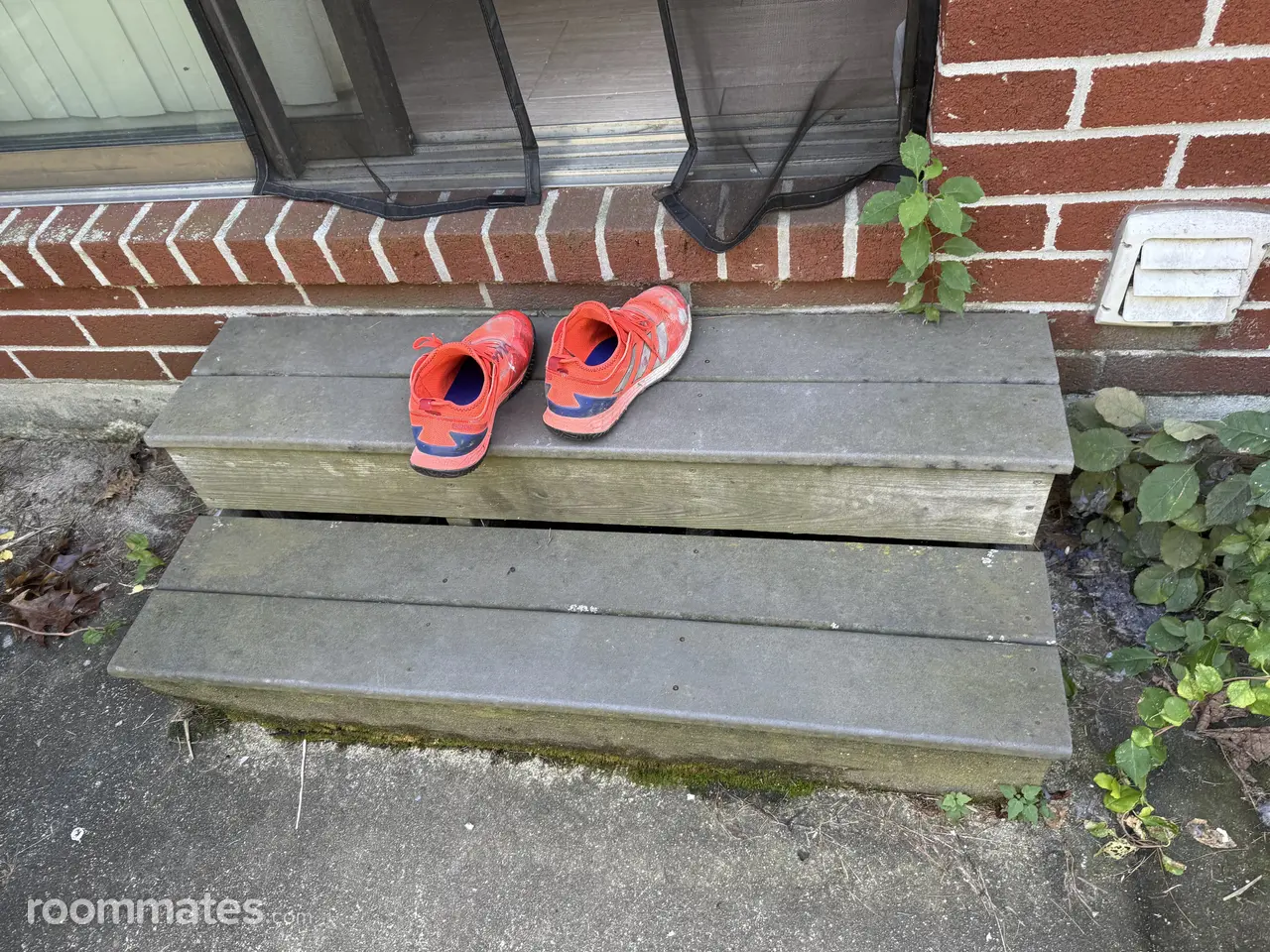 Profile photo 2 of 12