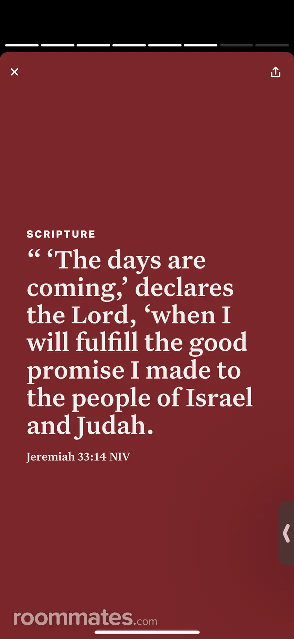 Profile photo 7 of 12