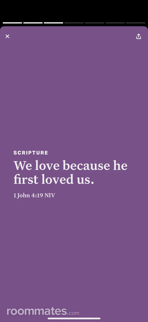 Profile photo 12 of 12