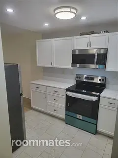 Room for rent in St. Petersburg, FL $1000, condo