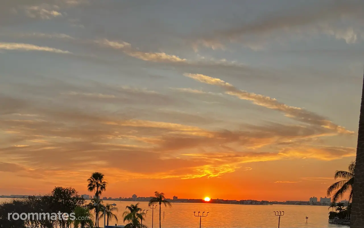 Profile photo 2 of 4