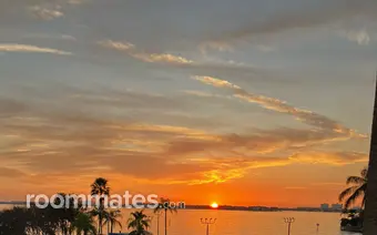 Room for rent in Gulfport, FL $1000, condo