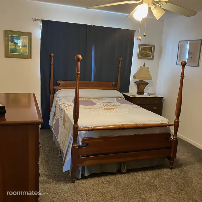 Room for rent in Gulfport, FL $1000, condo