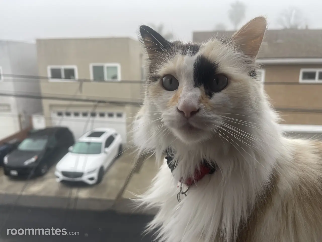 Profile photo 2 of 4