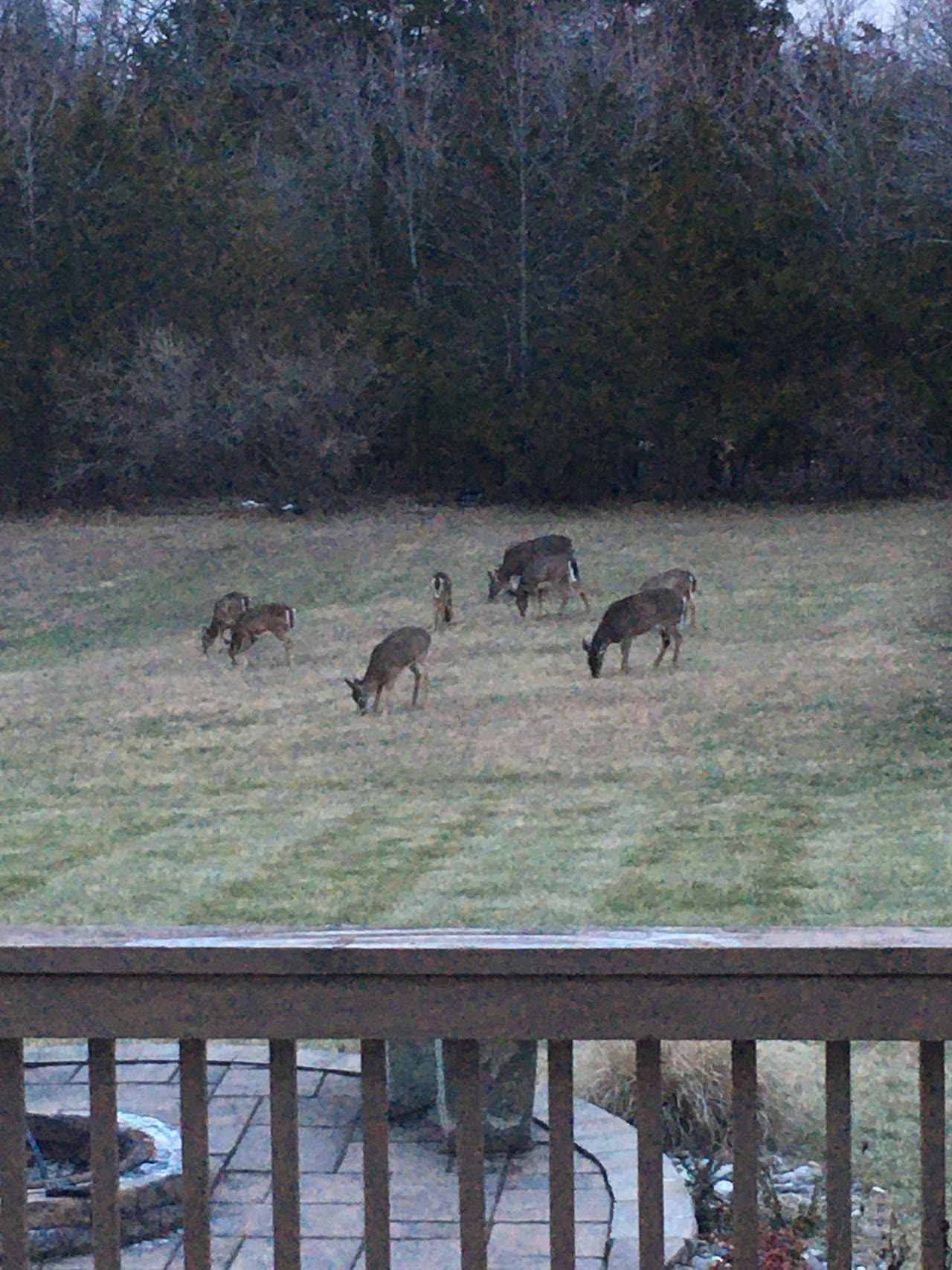 Profile photo 4 of 11