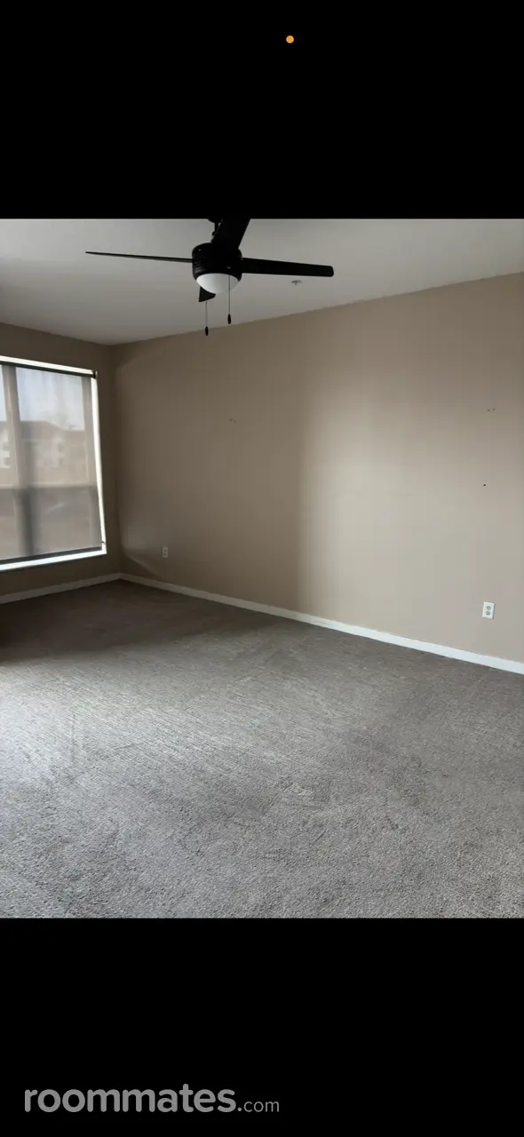 Profile photo 2 of 3