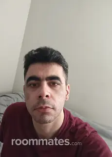 Roommate looking Morgantown, PA, $1000