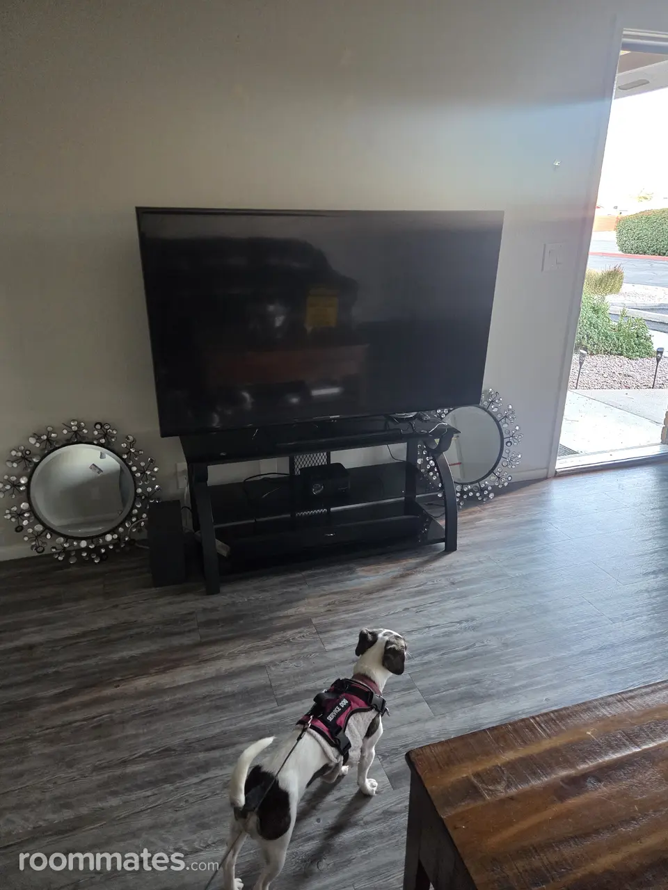 Profile photo 8 of 9