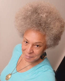 Roommate looking Chicago, IL, $700