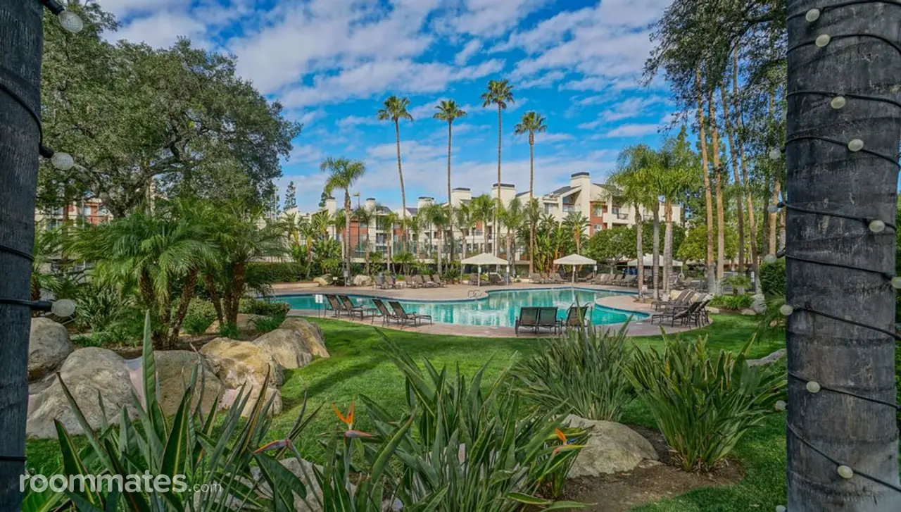 Profile photo 1 of 12