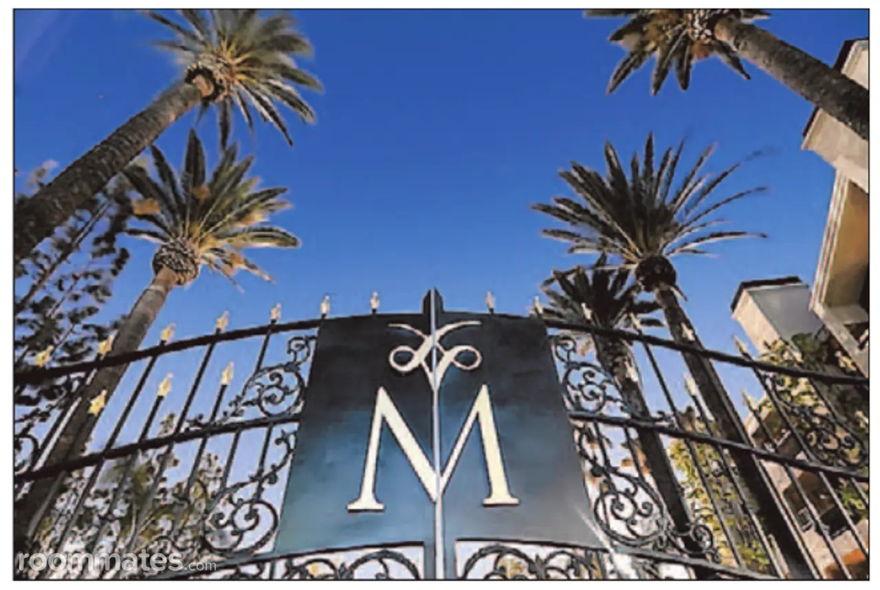 Profile photo 10 of 12