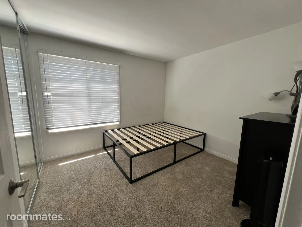 Profile photo 5 of 12