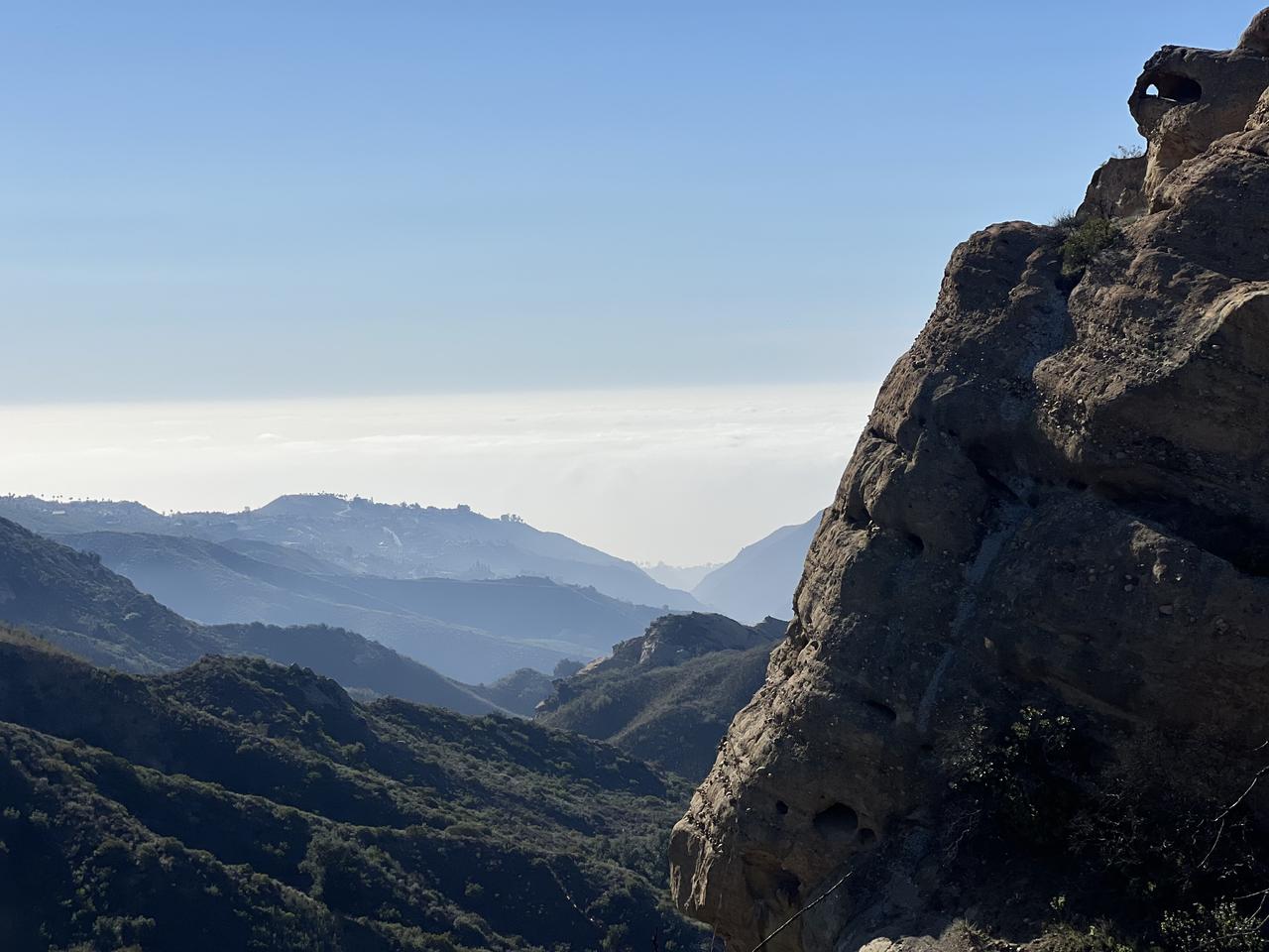 Profile photo 11 of 12