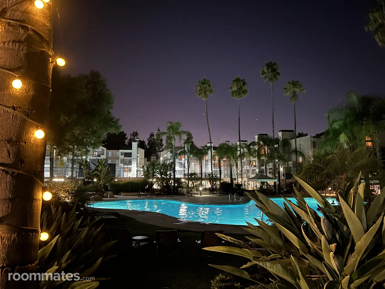 Profile photo 8 of 12