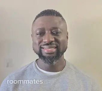 Roommate looking Indianapolis, IN, $1000