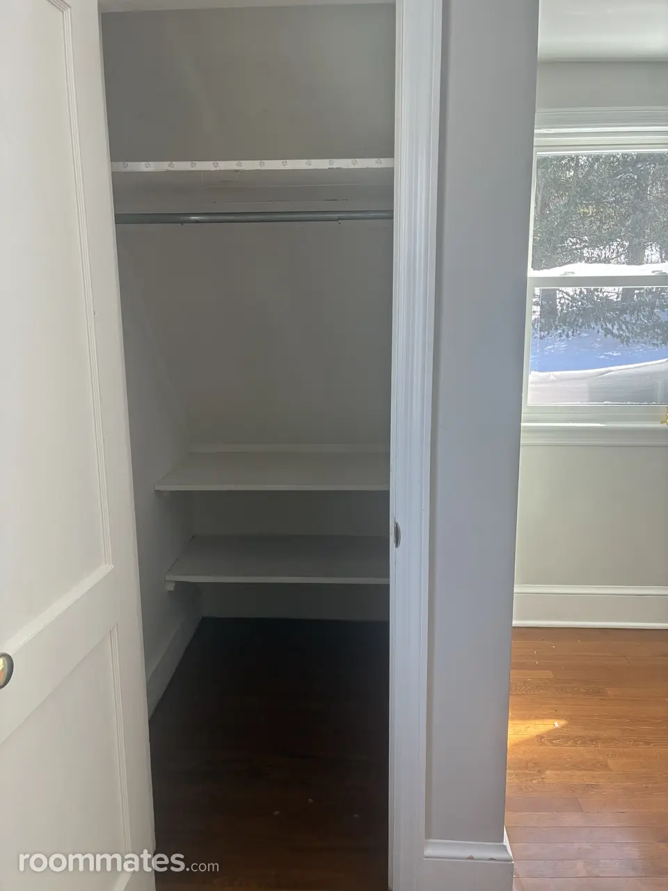 Profile photo 2 of 12