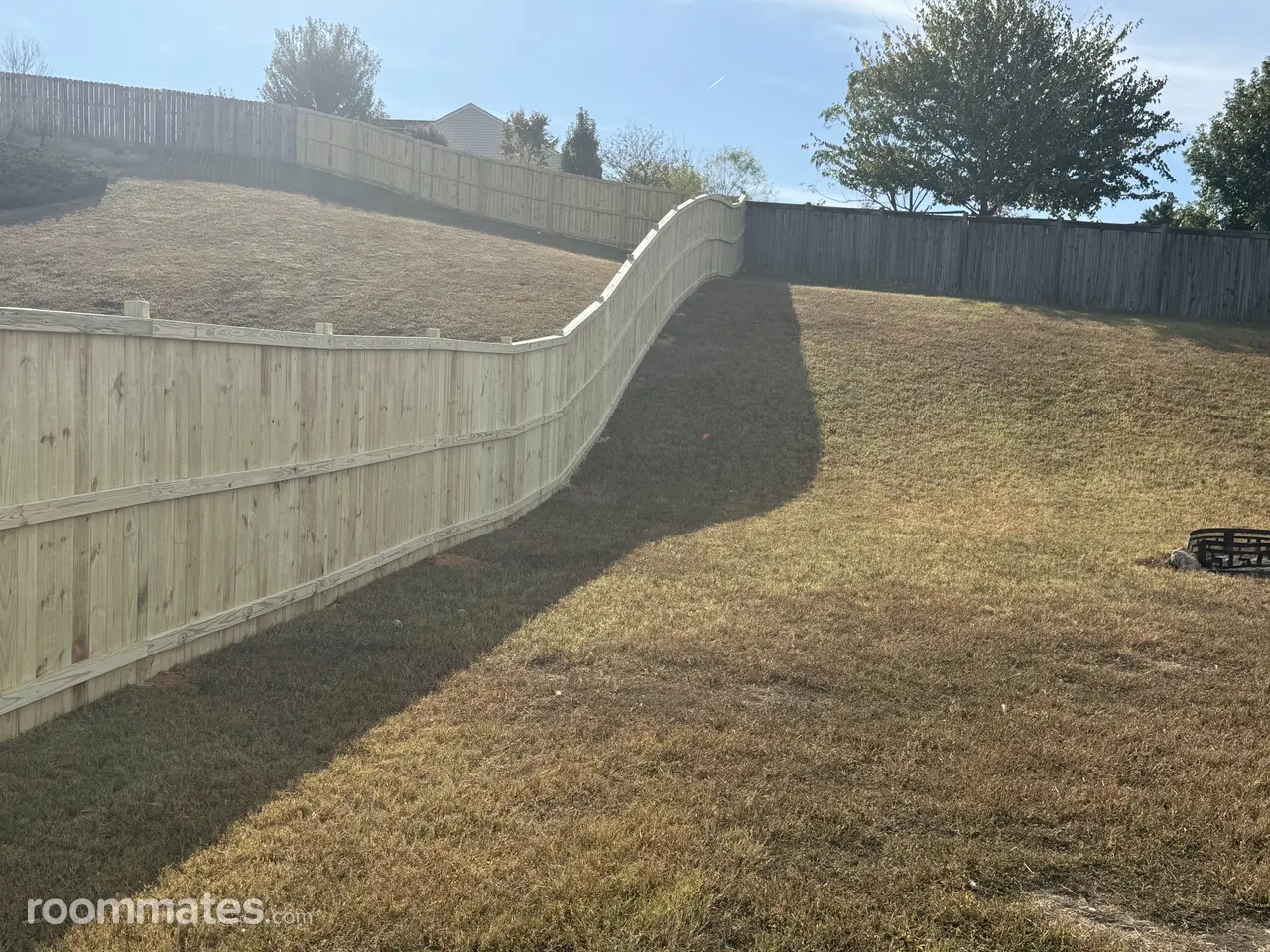 Profile photo 4 of 18