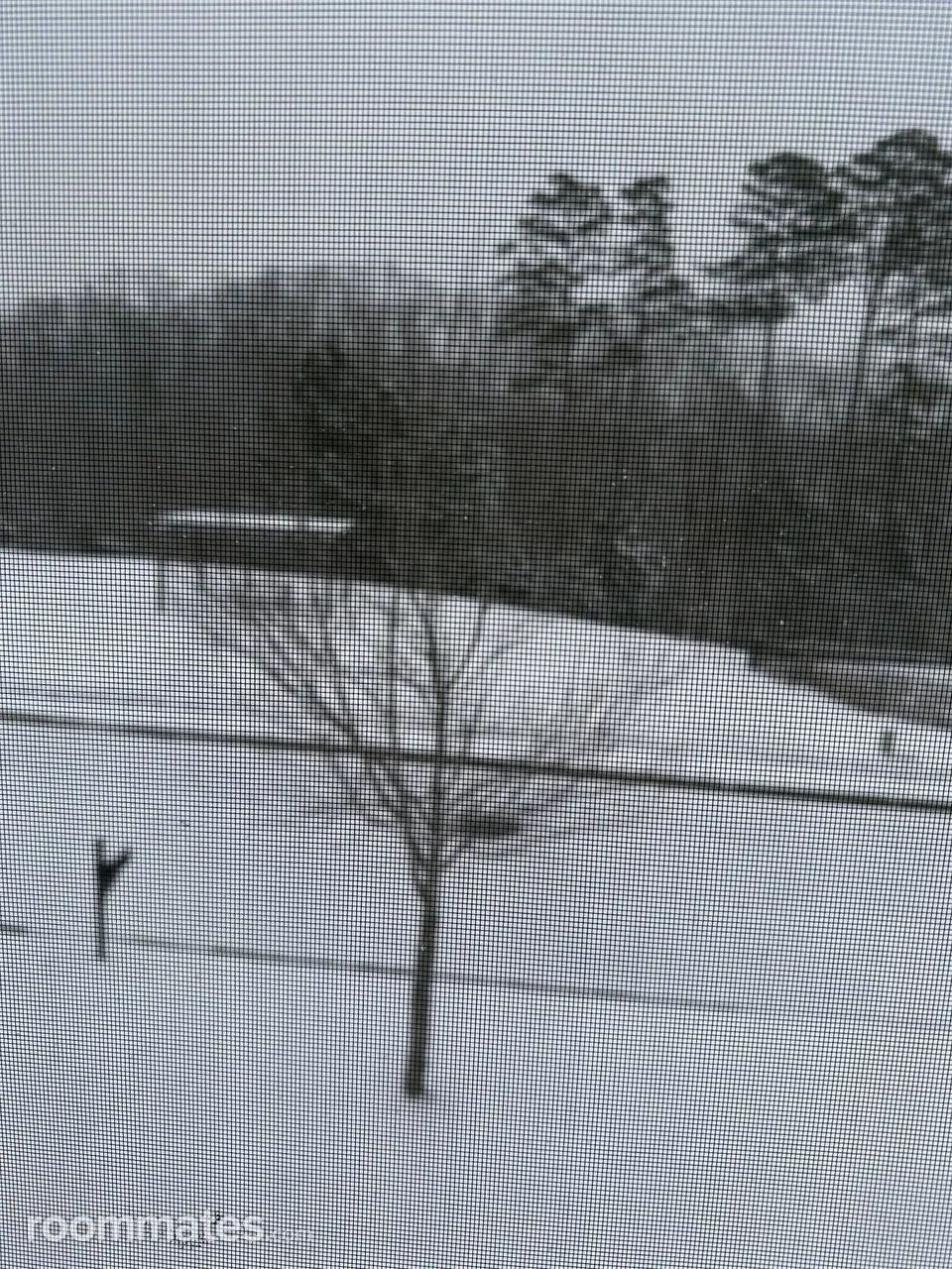 Profile photo 6 of 18