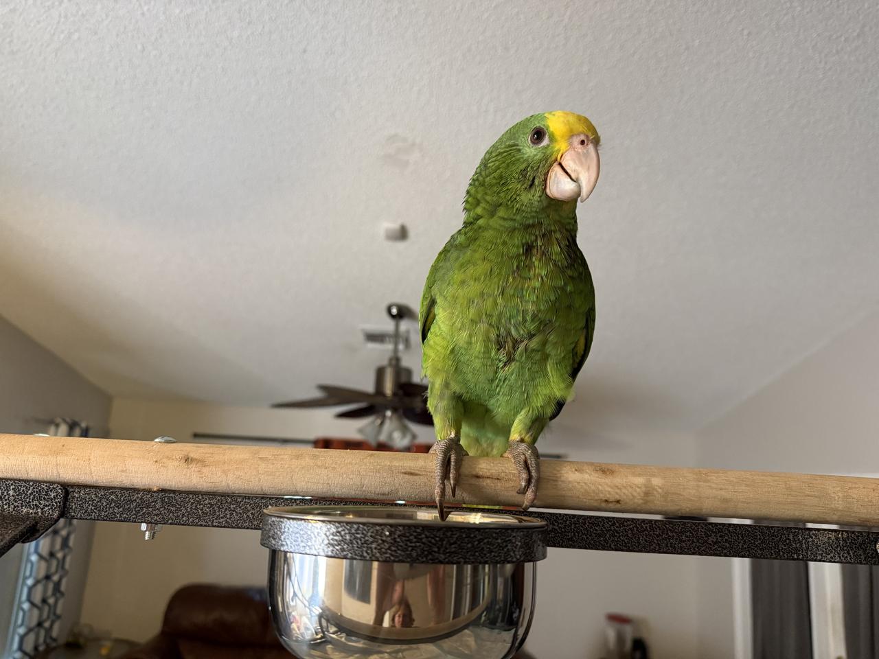 Profile photo 14 of 18