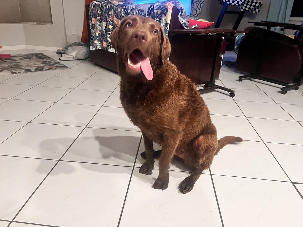 Profile photo 16 of 18