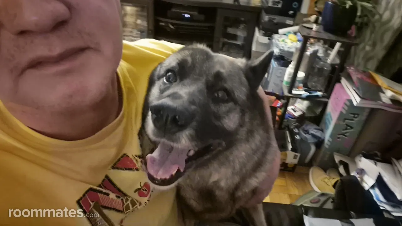 Profile photo 2 of 2