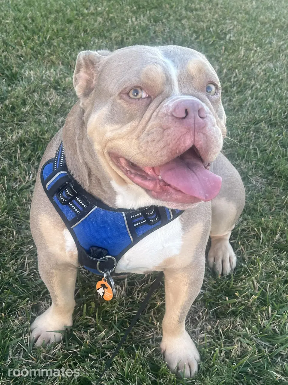 Profile photo 6 of 11