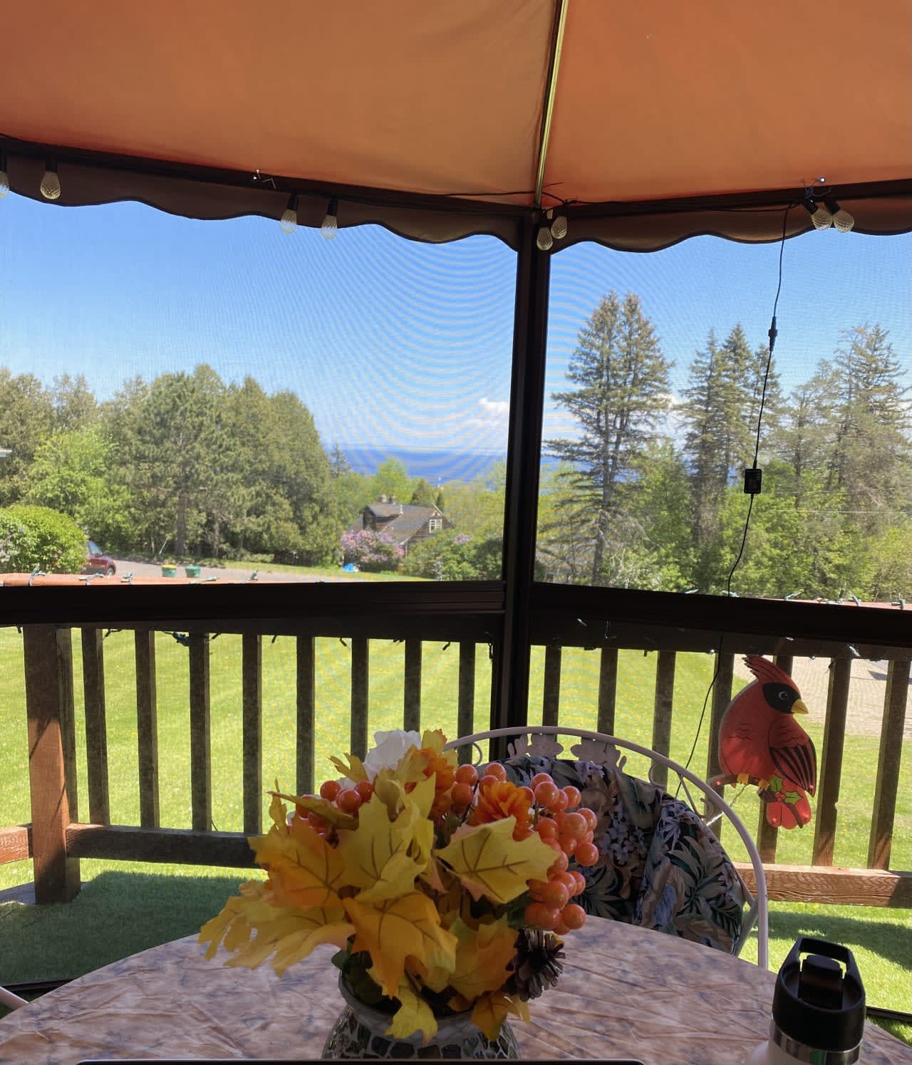 Profile photo 3 of 3