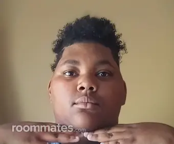 Roommate looking Biloxi, MS, $500