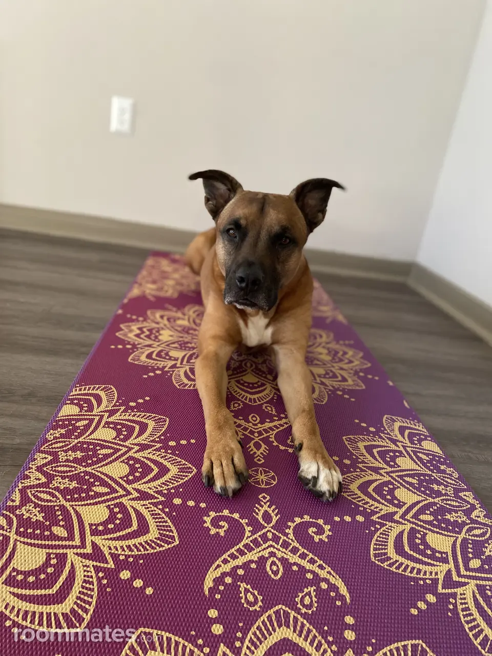 Profile photo 4 of 7