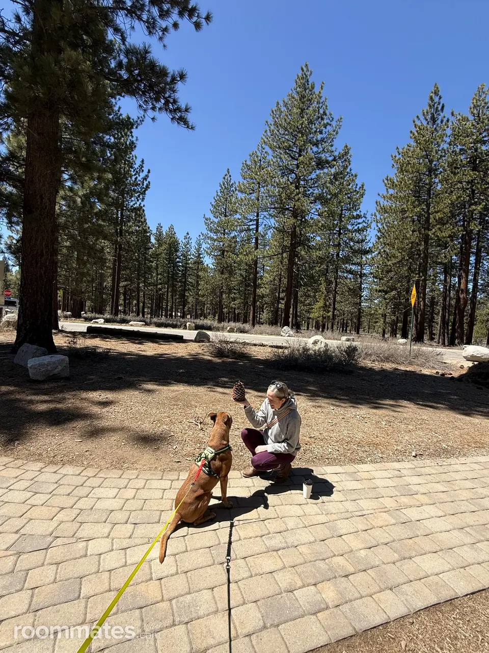 Profile photo 5 of 7