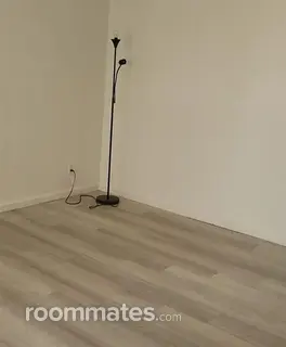 Room for rent in Las Vegas, NV $775, condo