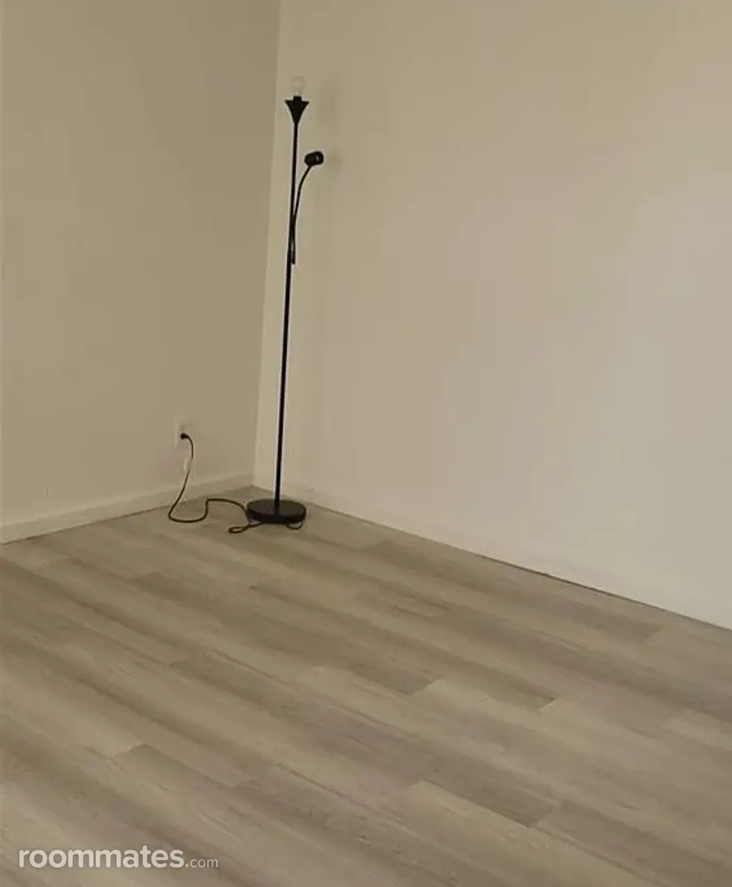 Profile photo 1 of 4