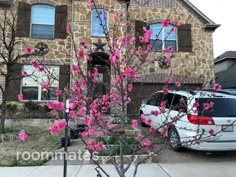 Room for rent in Euless, TX $750, house