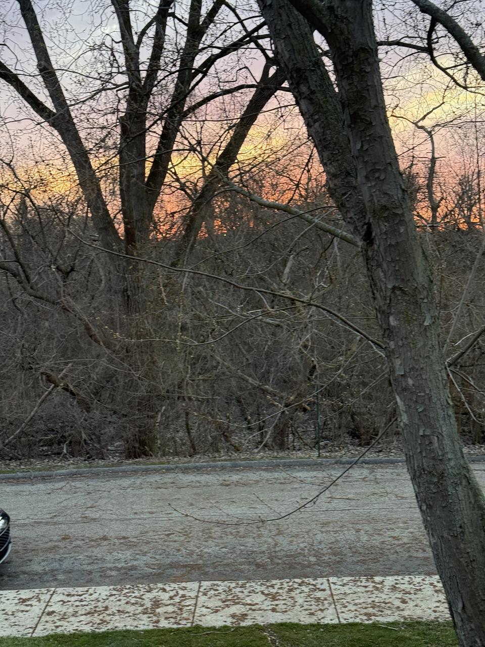 Profile photo 4 of 4