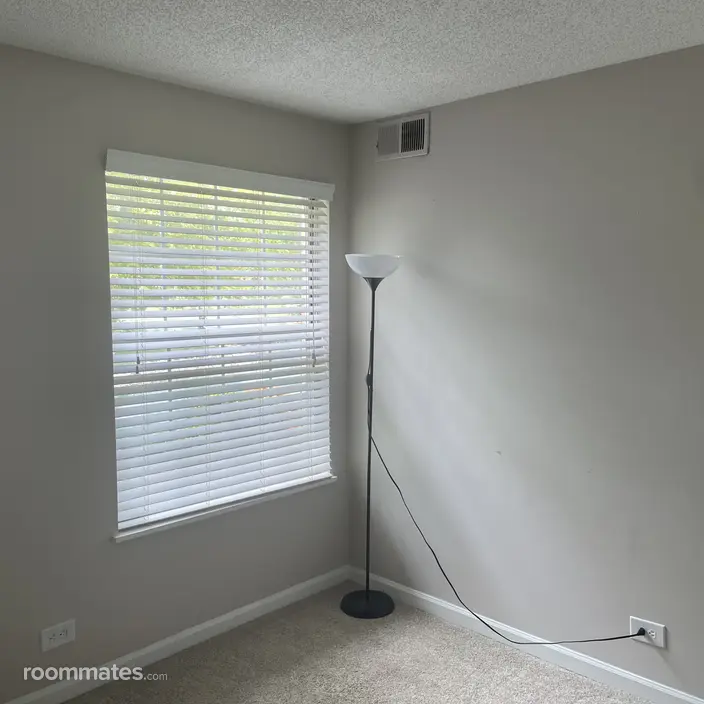 Room for rent in Naperville, IL $950, apartment