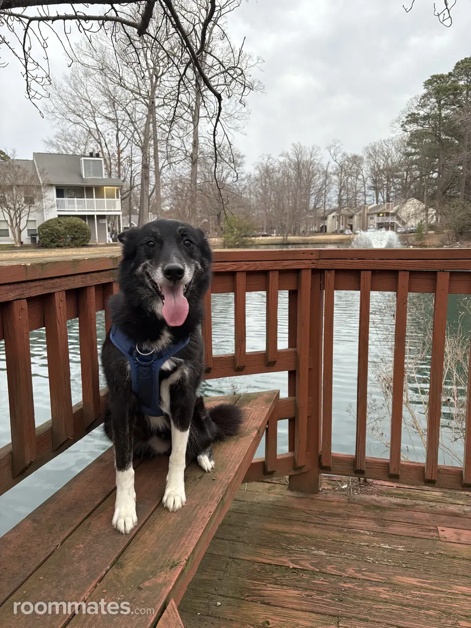 Profile photo 3 of 4