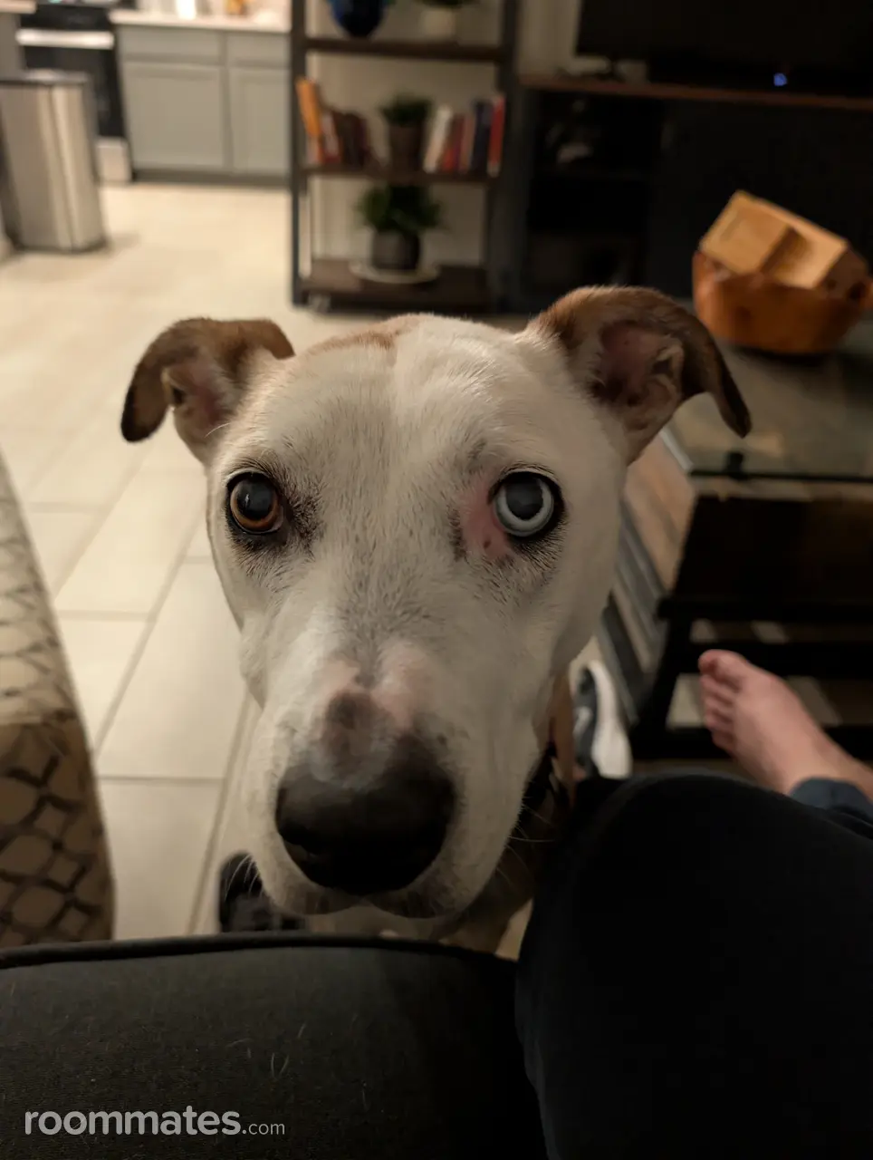 Profile photo 10 of 12